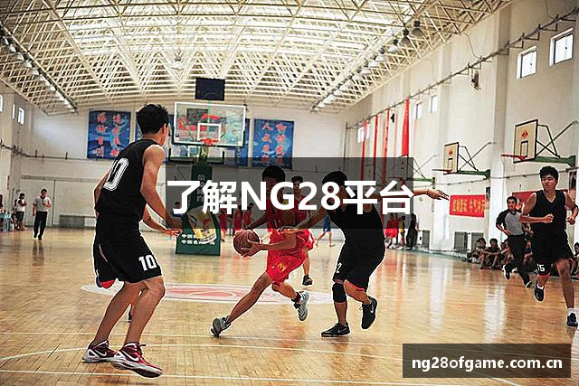 了解NG28平台
